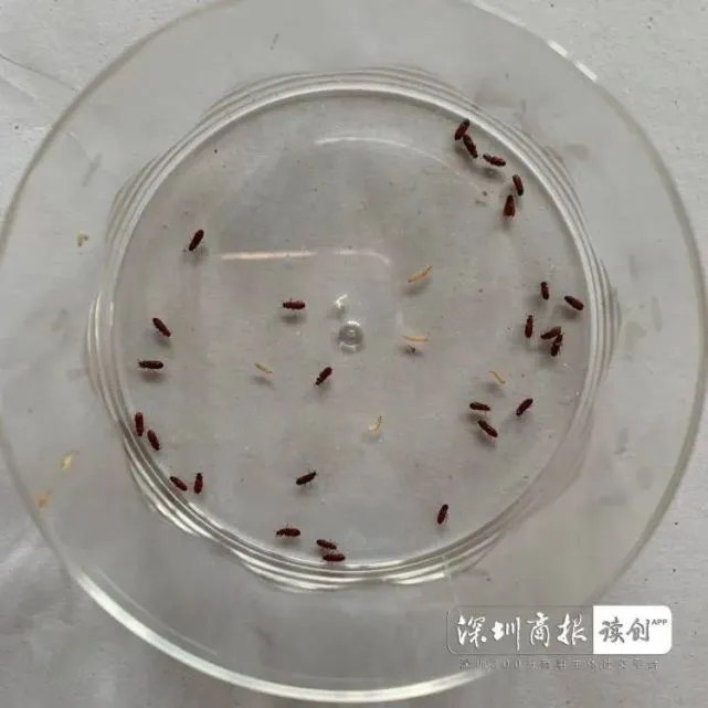 药品包装盒好做吗_药品包装好干吗_盒药品包装好做什么工作